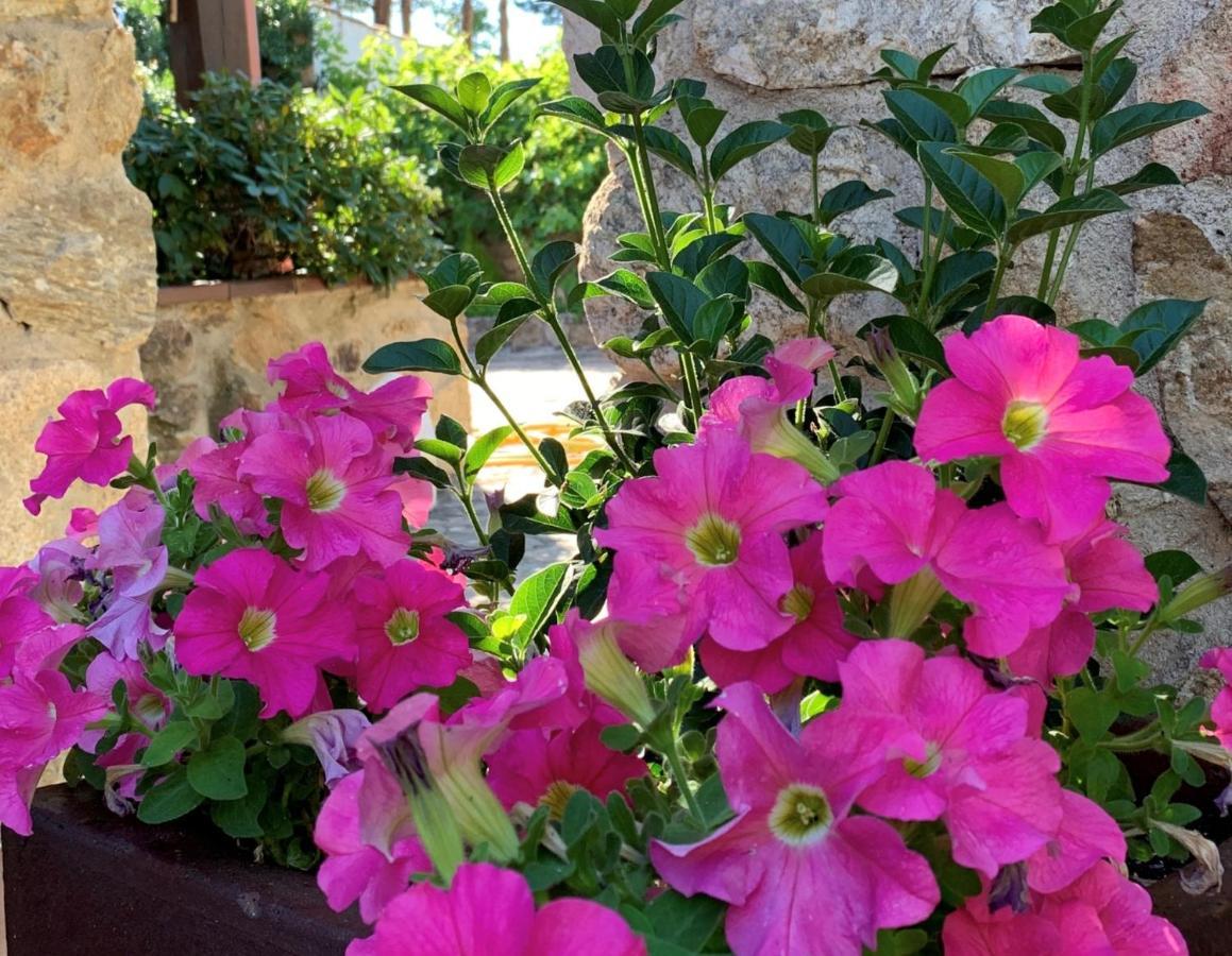 La Casita De Las Hortensias Ортигоса-дель-Монте Экстерьер фото